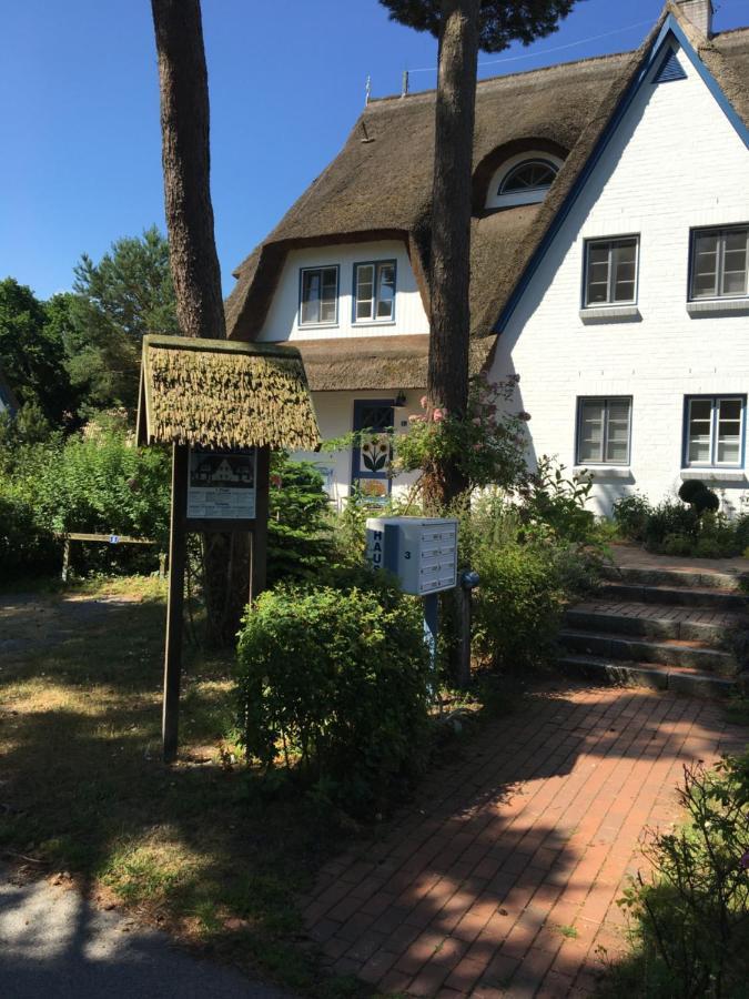 Fewo Sonnenblume Achtern Diek Zingst Eksteriør billede