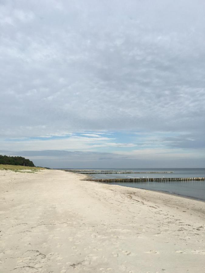 Fewo Sonnenblume Achtern Diek Zingst Eksteriør billede