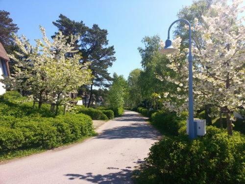 Fewo Sonnenblume Achtern Diek Zingst Eksteriør billede
